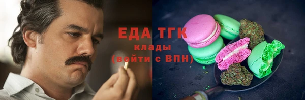 гидра Грязовец