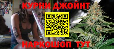 шишки Гатчина