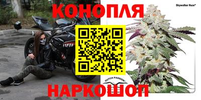 шишки Гатчина