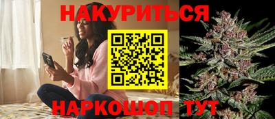 шишки Гатчина