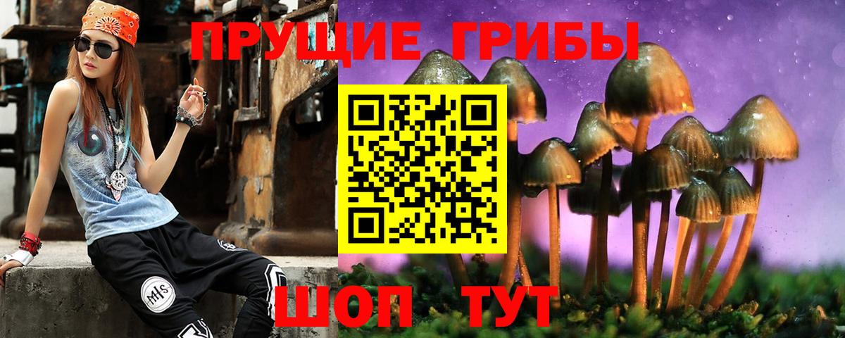 купить наркоту  Псилоцибиновые грибы GOLDEN TEACHER  Вход с VPN  Краснодар  Галлюциногенные грибы MAGIC MUSHROOMS 